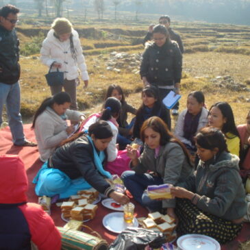 Fellowship Picnic